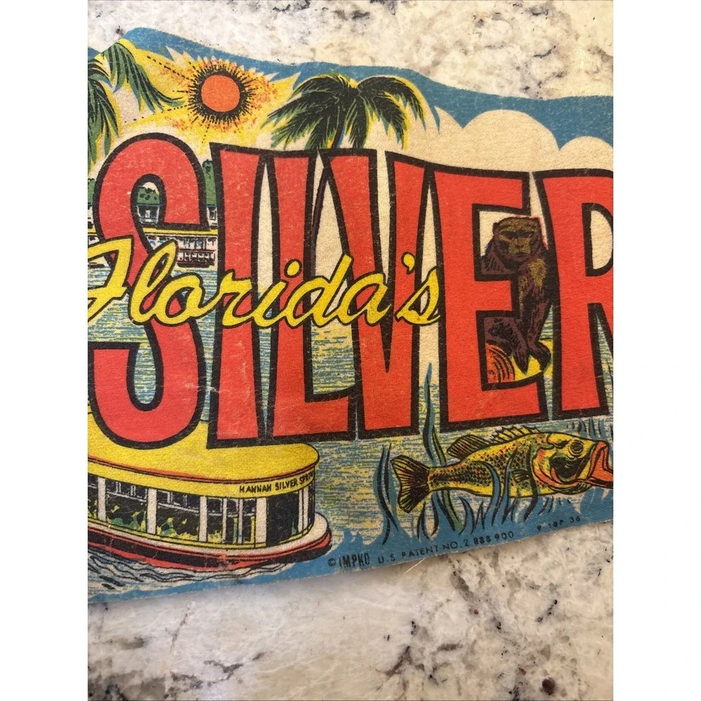 Vintage Green Felt Silver Springs Florida Neon Boat Ride Ocala Pennant Flag